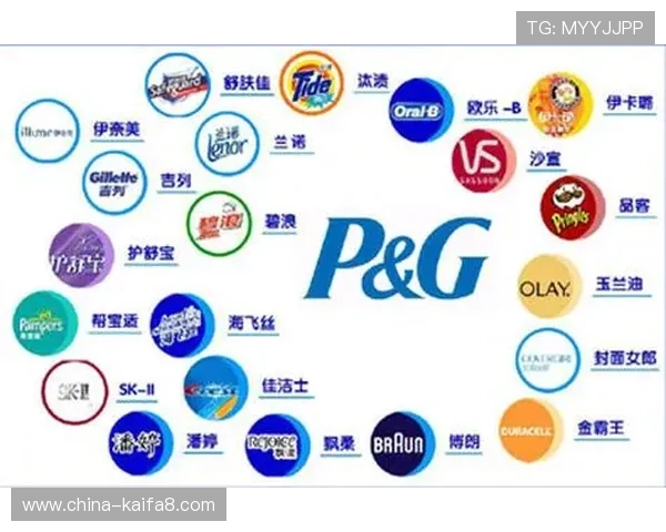 ca88aa平台用户体验优化方案及多项创新功能正式上线的详细介绍